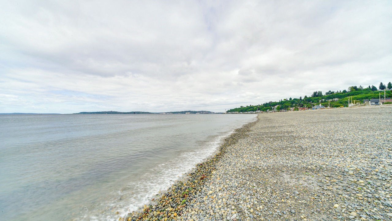 Photo of Others in Alki