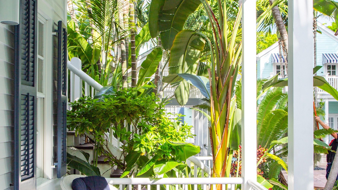 Photo of Outdoor in Key West Historic District