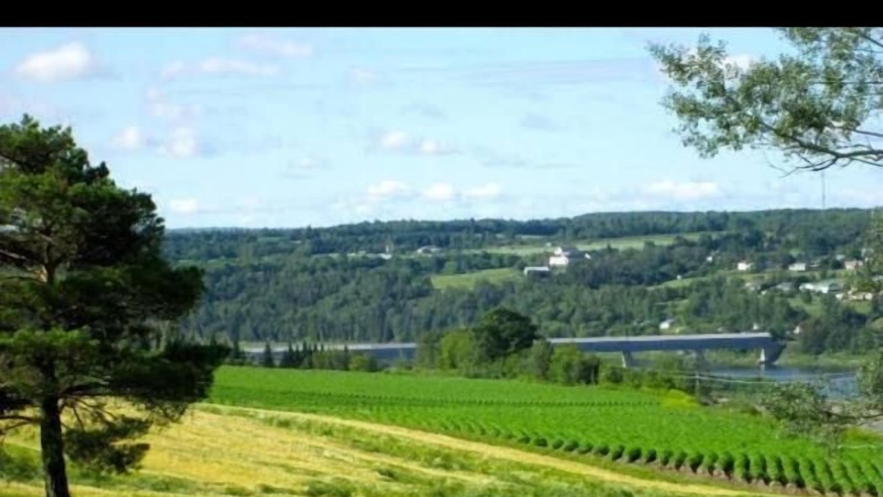 Photo of Others in Hartland