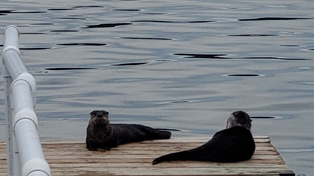 Photo of Outdoor in Poulsbo