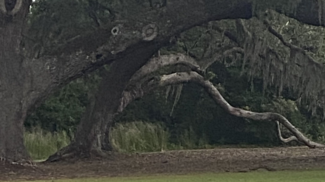Photo of Others in Little River