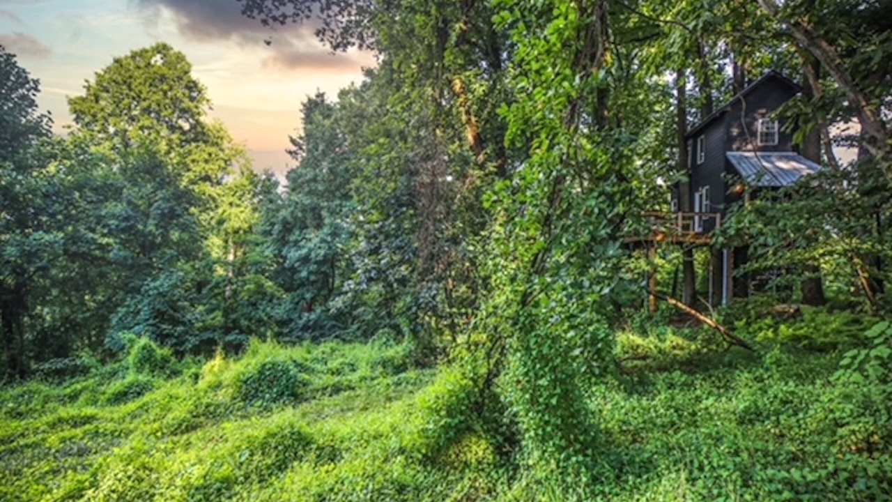 Photo of Outdoor in Tuscarora