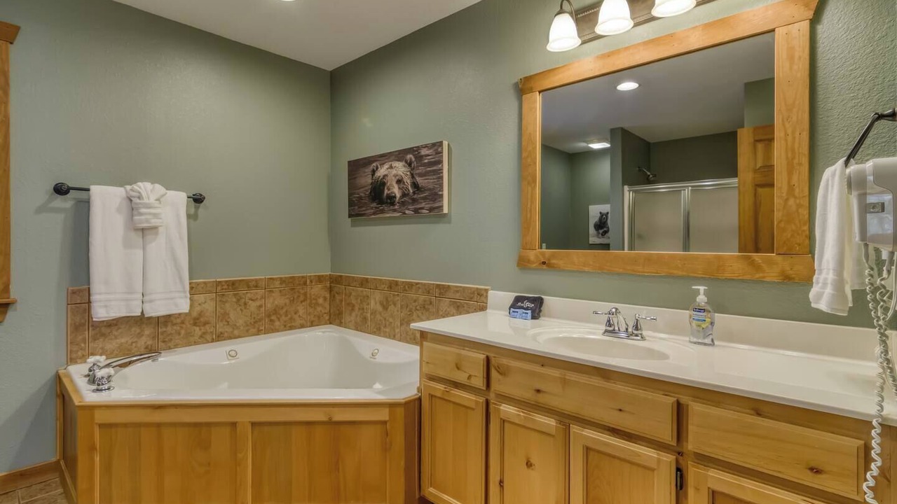 Photo of Bathroom in Branson West