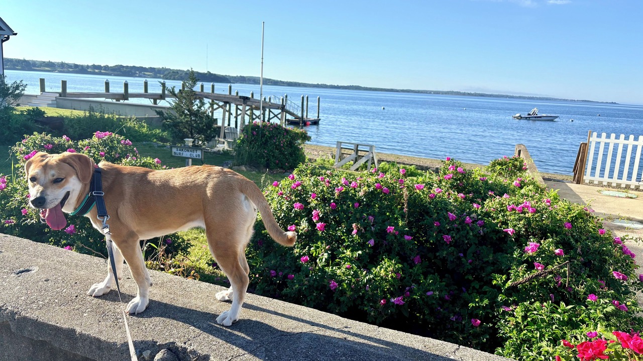 Photo of Outdoor in Portsmouth