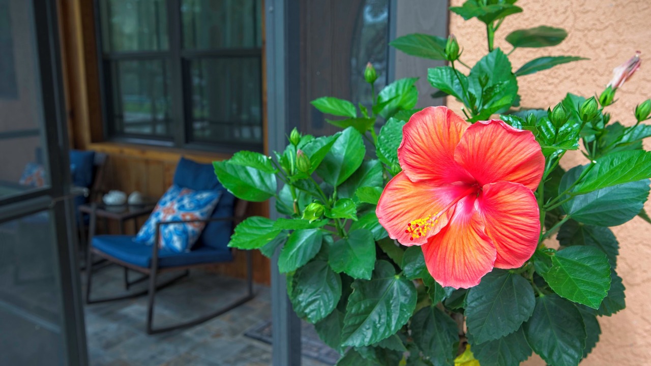 Photo of Outdoor in Sarasota Springs