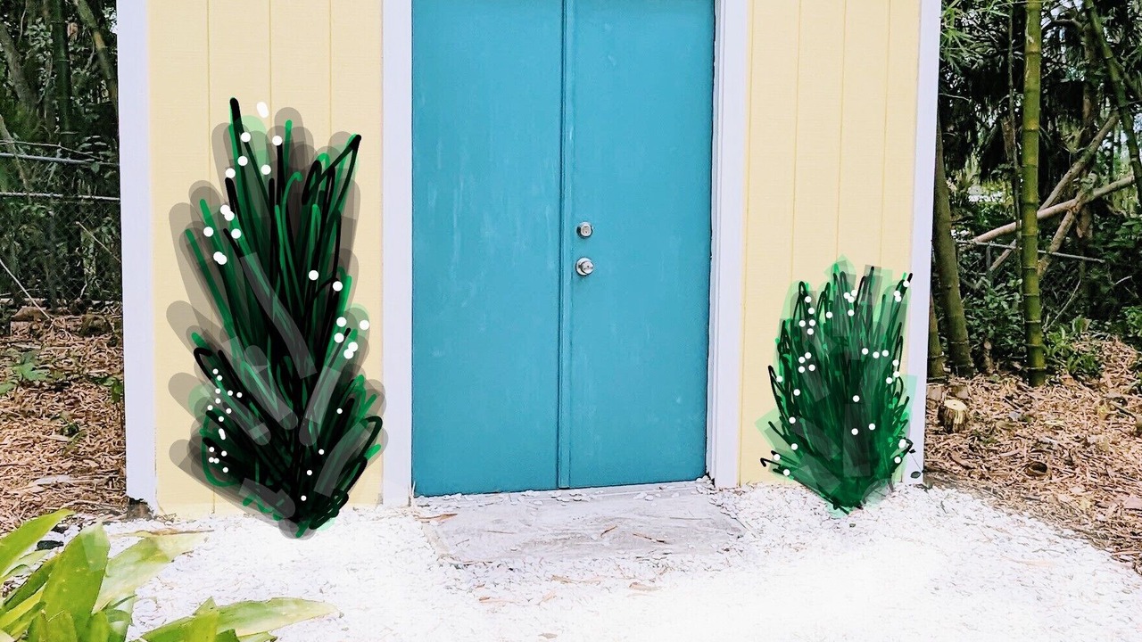 Photo of Outdoor in South Sarasota