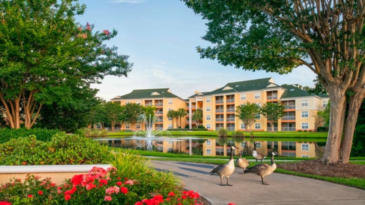 Photo of Outdoor in Myrtle Beach