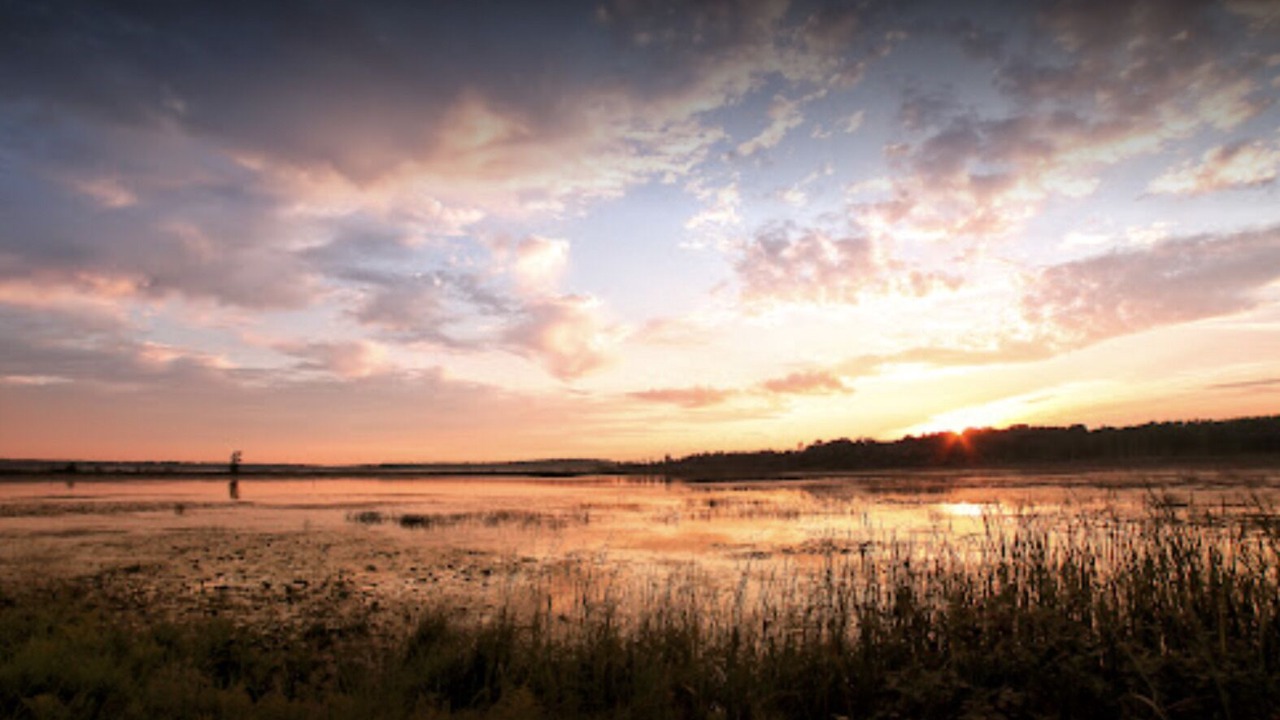 Photo of Outdoor in Tiny