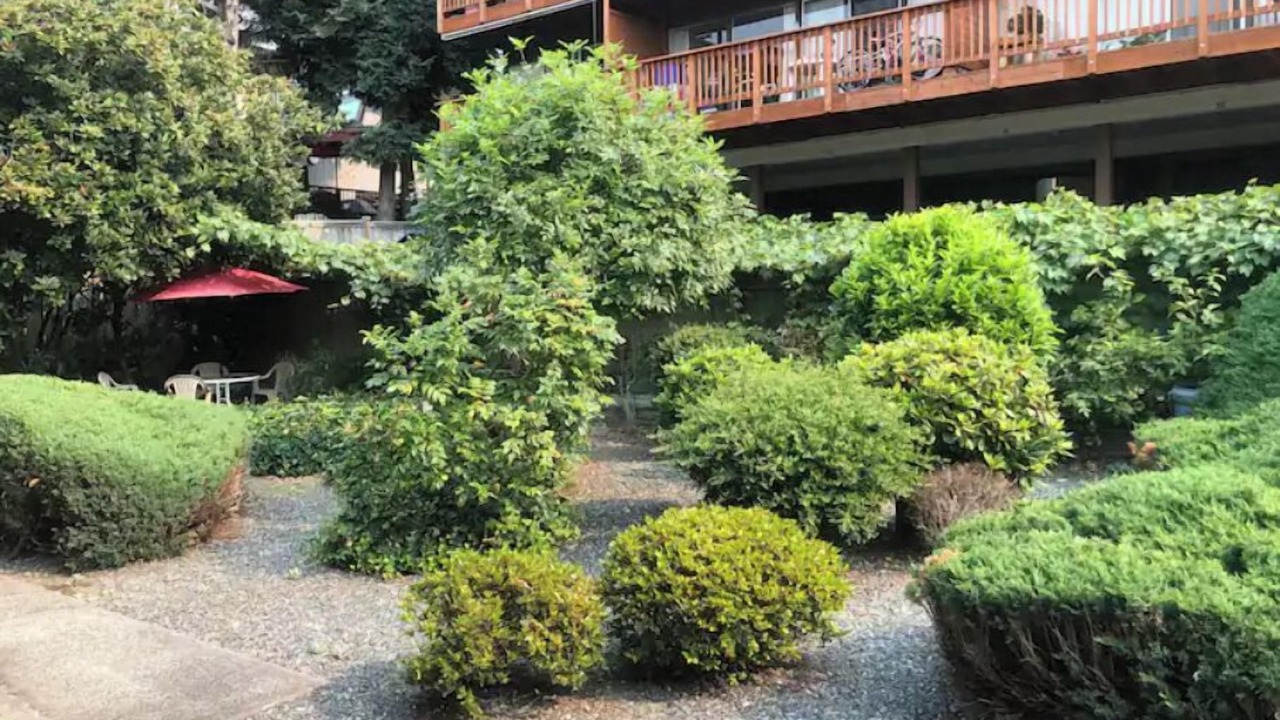Photo of Outdoor in Northwest Bellevue