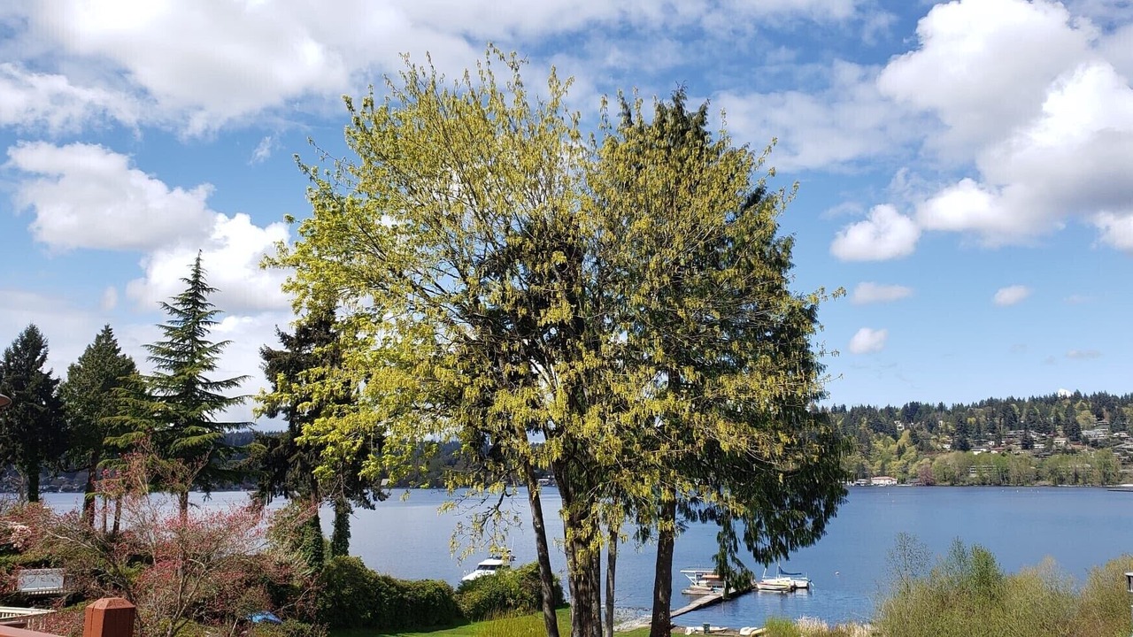 Photo of Others in Kenmore