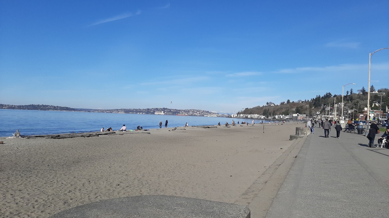Photo of Others in Alki