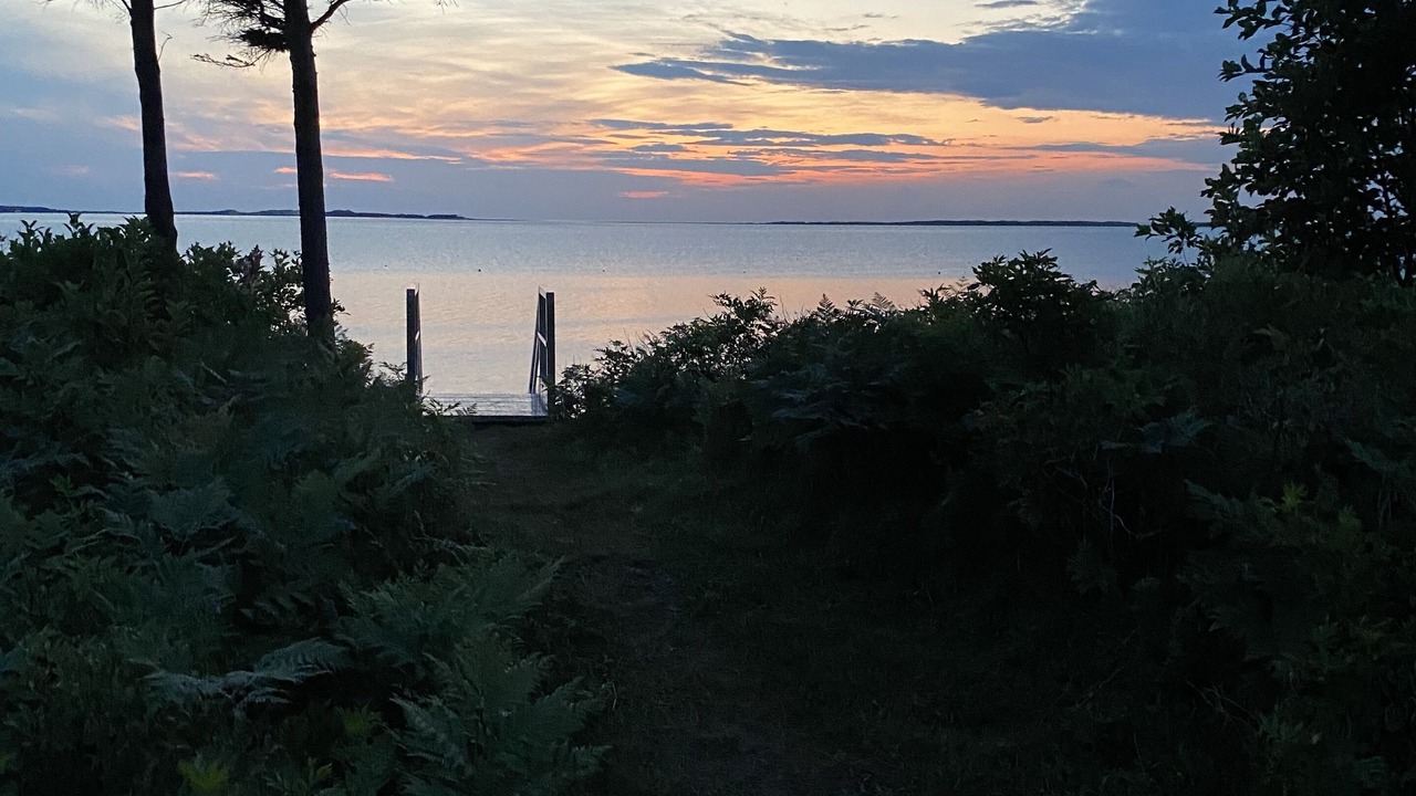 Photo of Others in Blooming Point
