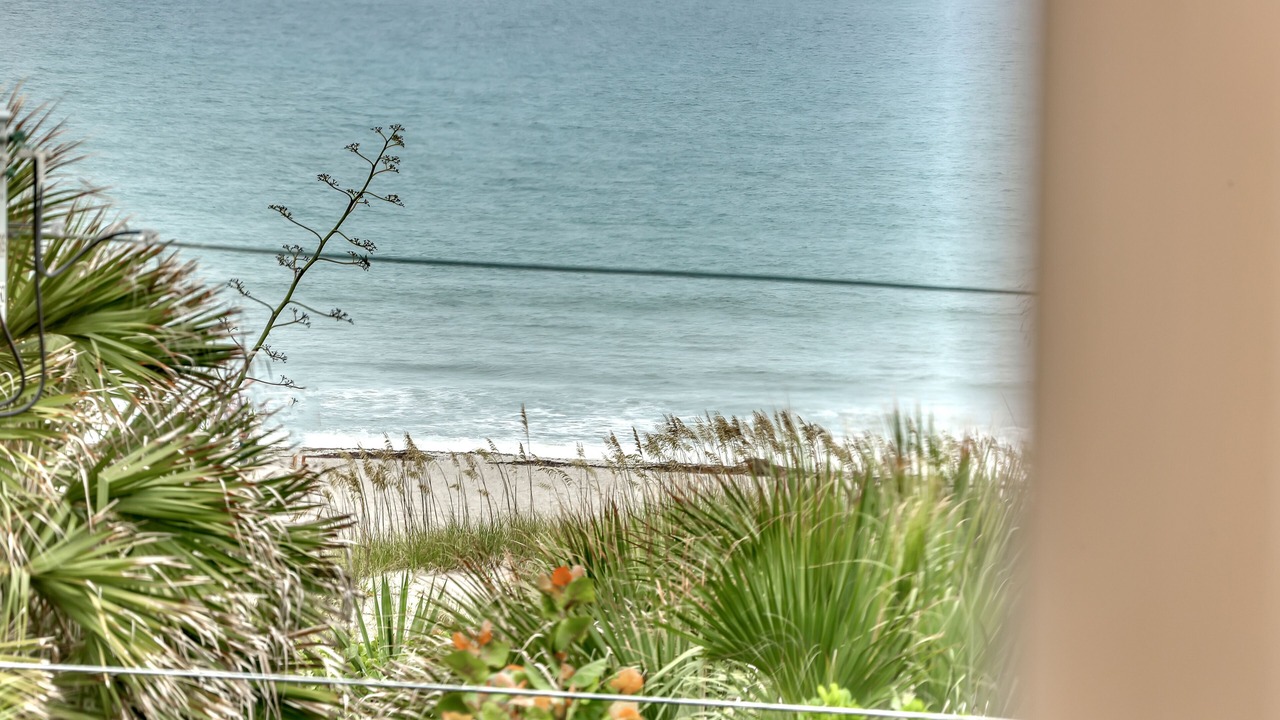 Photo of Others in Cocoa Beach