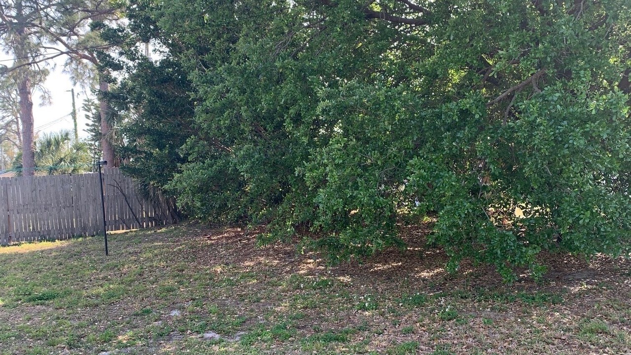Photo of Others in North Port