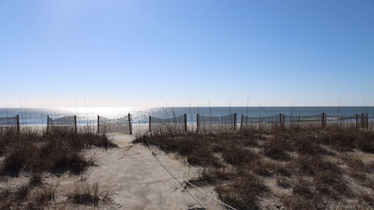 Photo of Others in Holden Beach