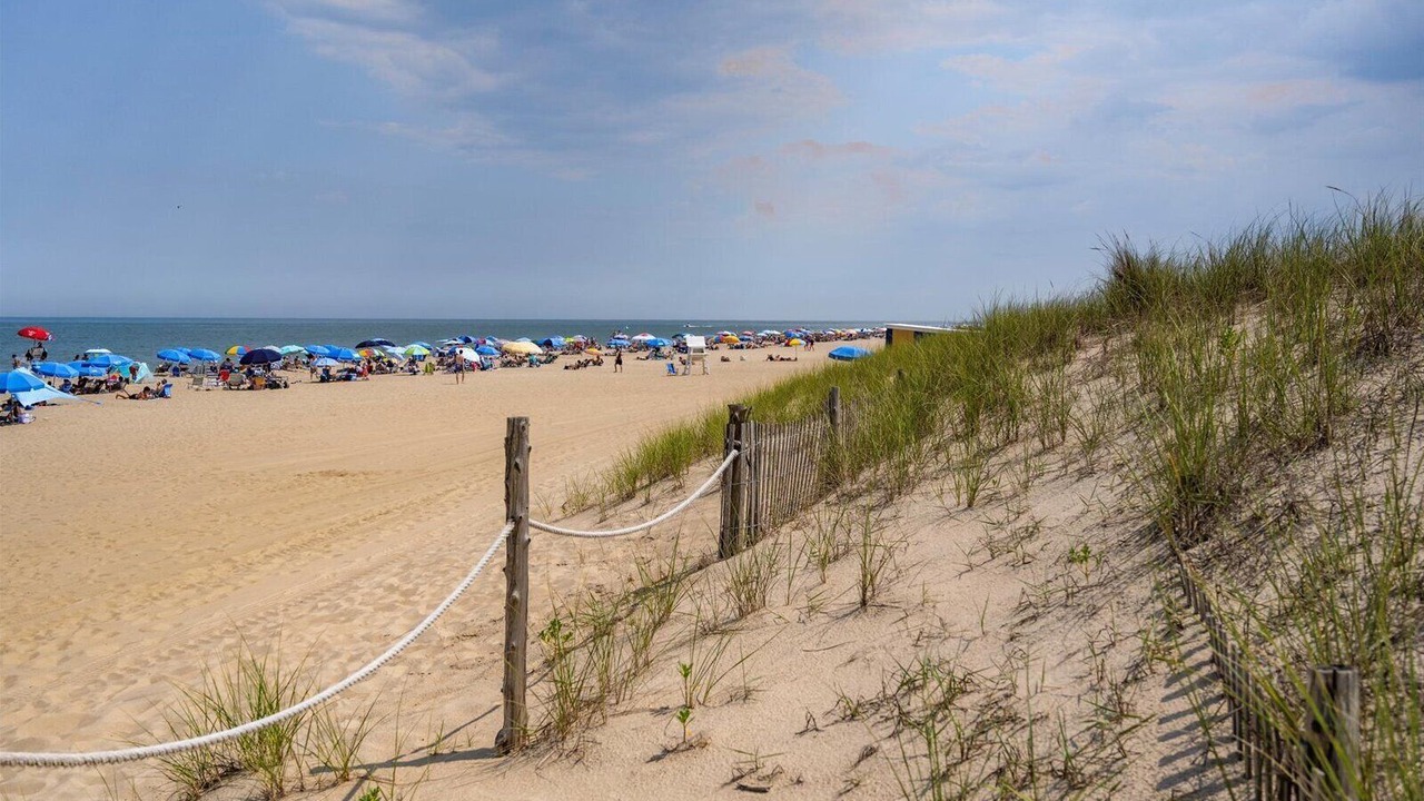 Photo of Others in South Rehoboth