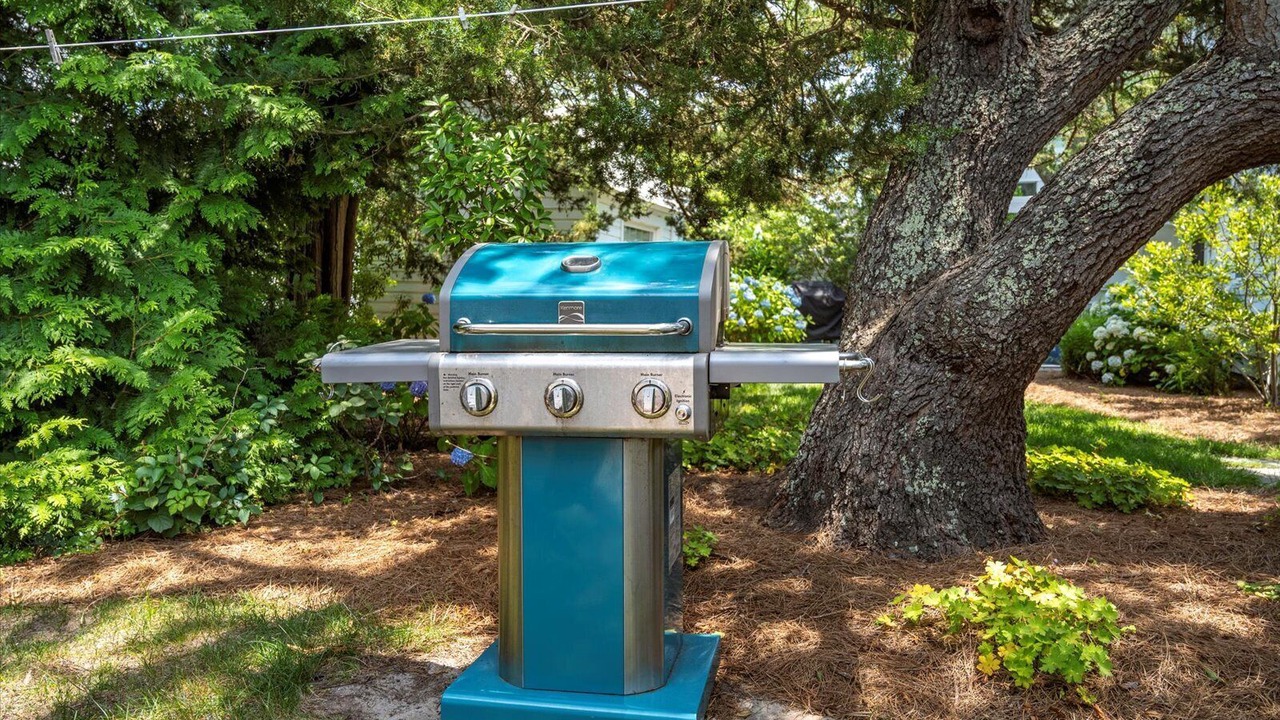Photo of Outdoor in South Rehoboth