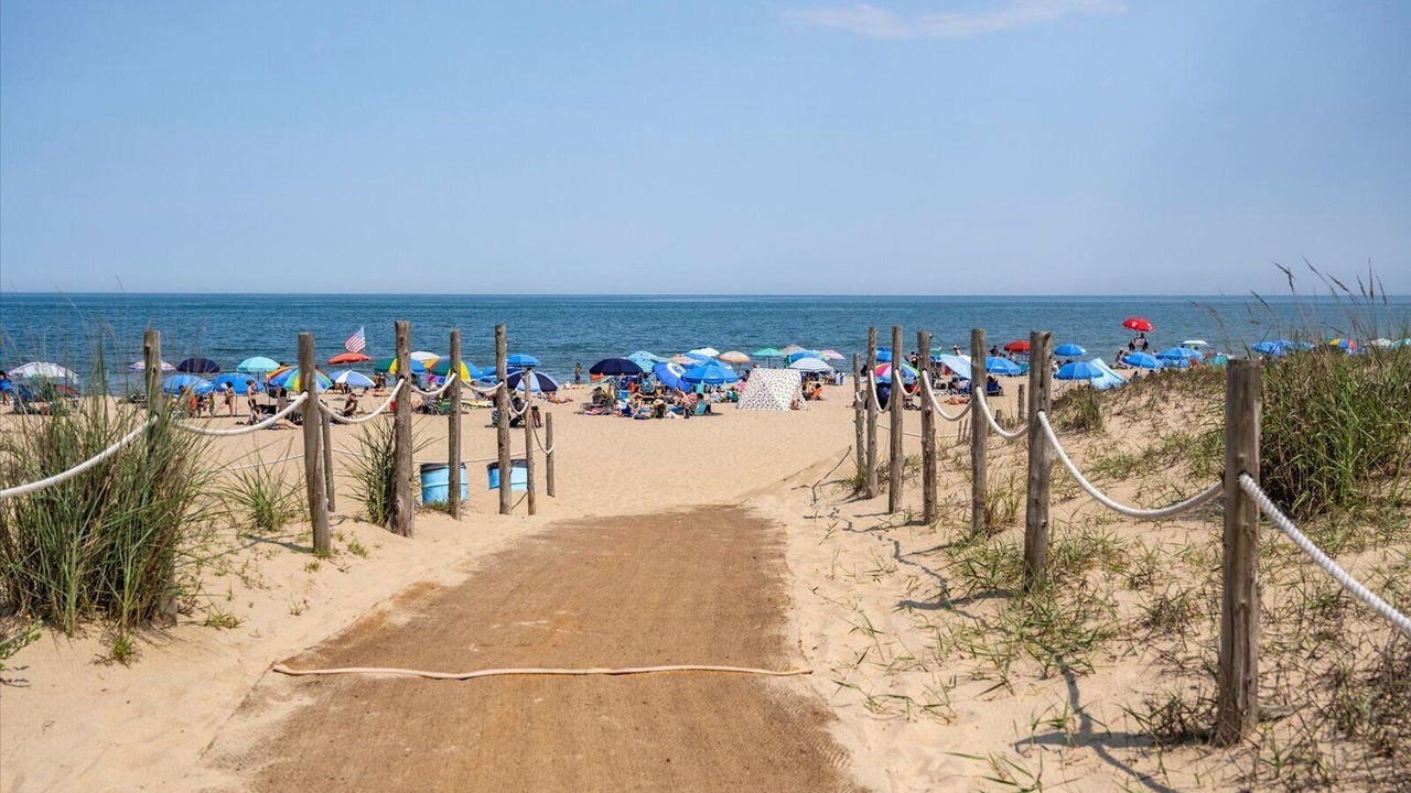 Photo of Others in South Rehoboth