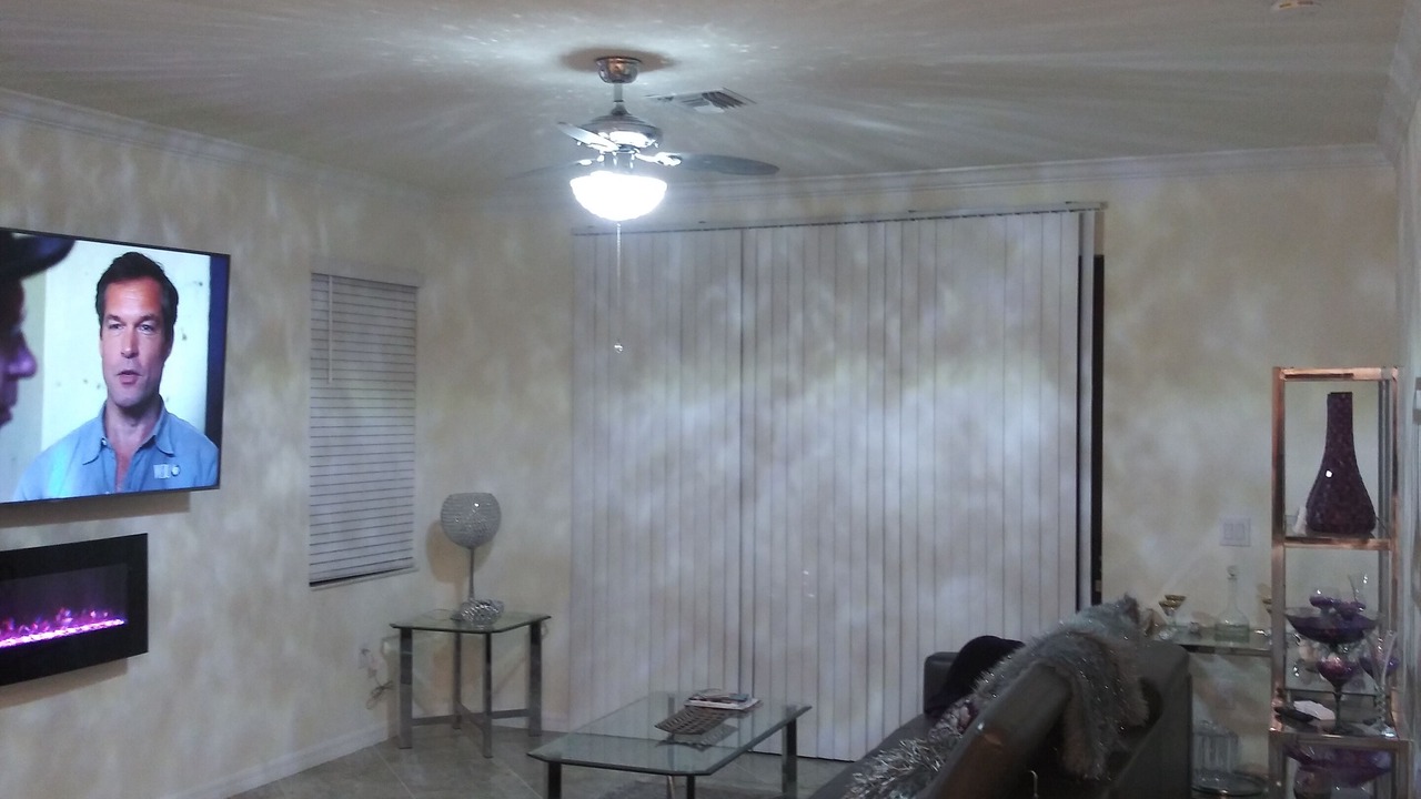 Photo of Livingroom in Venice