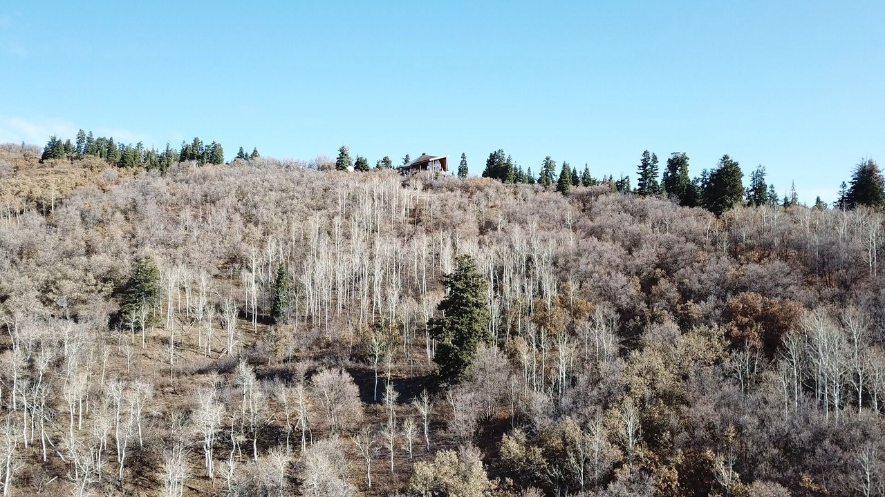 Photo of Outdoor in Silver Summit