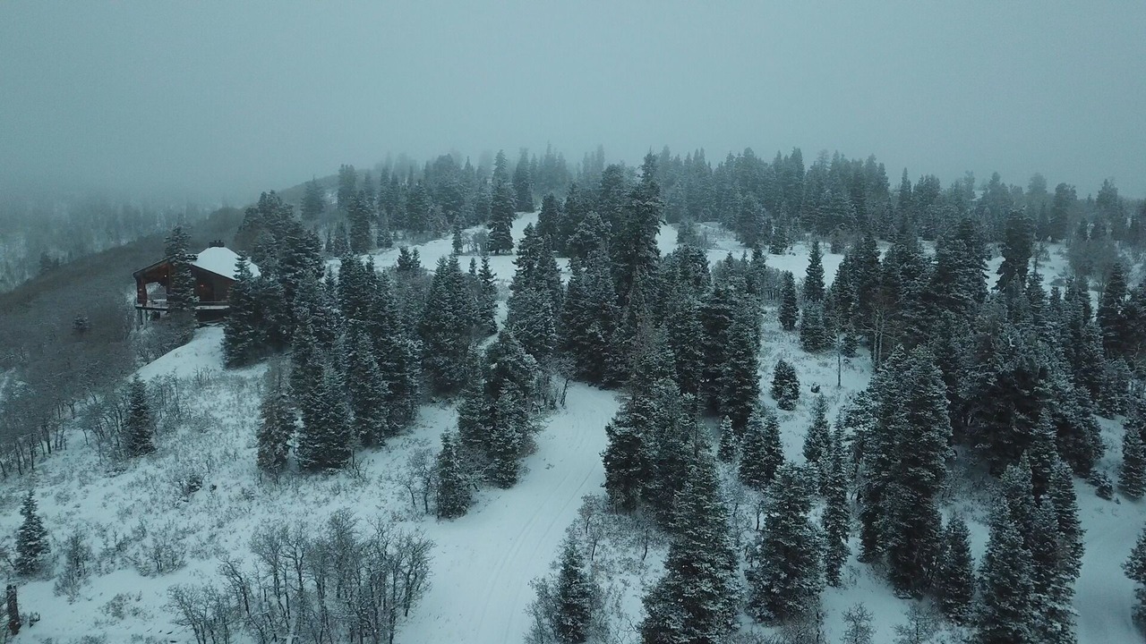 Photo of Others in Silver Summit
