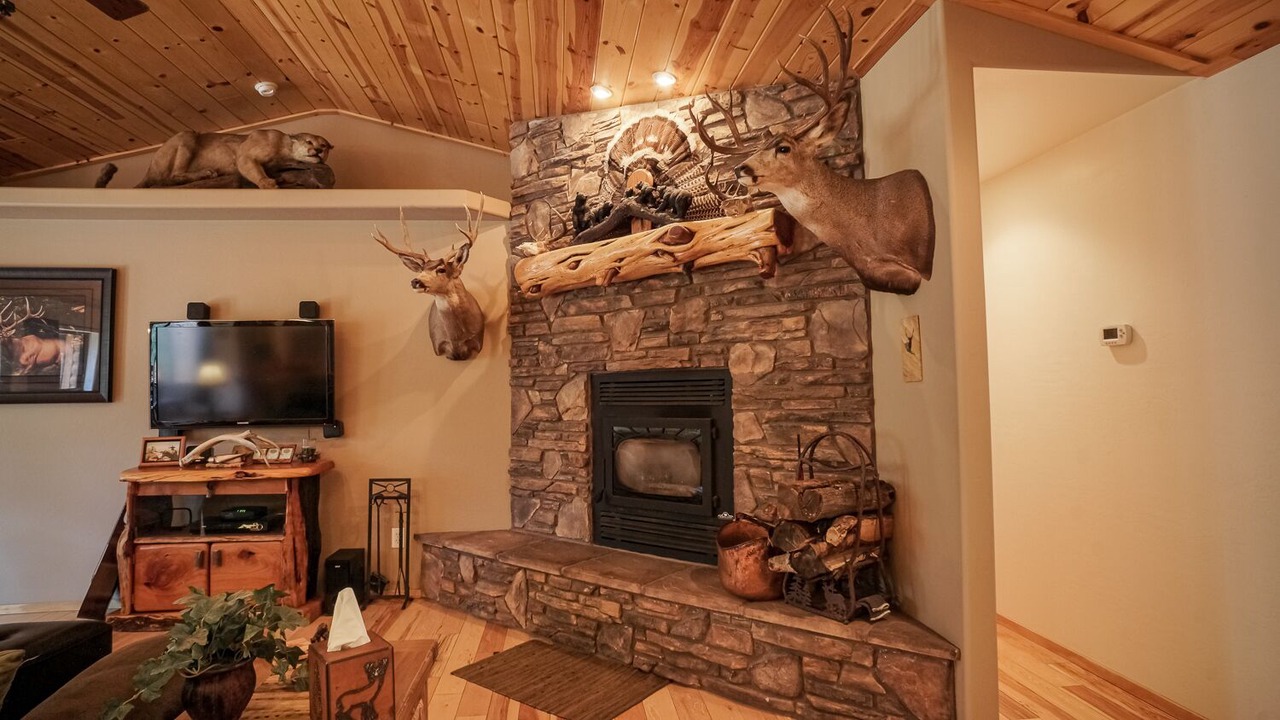 Photo of Livingroom in Show Low