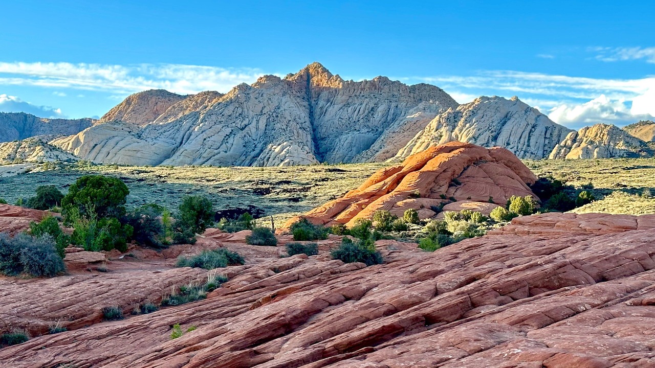 Photo of Others in St. George