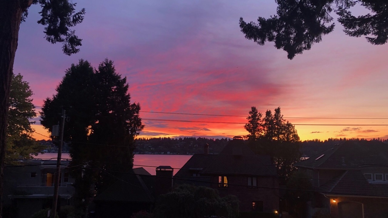 Photo of Outdoor in Inglewood-Finn Hill