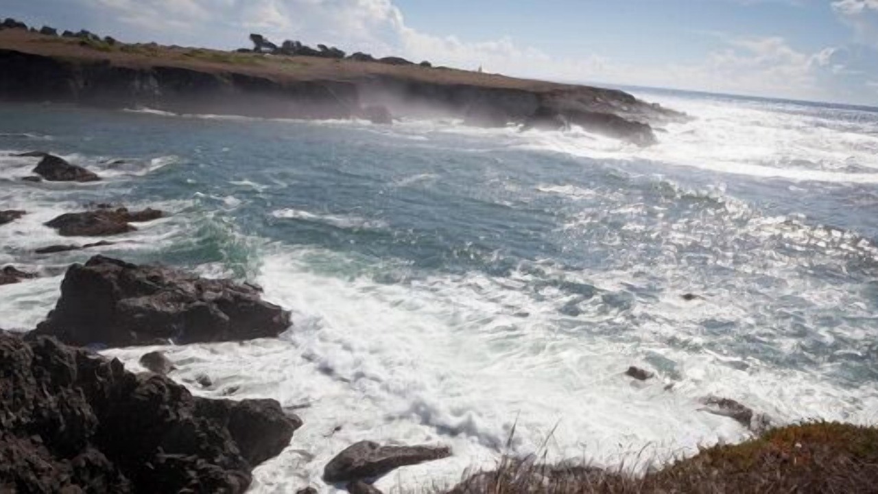 Photo of Others in Mendocino