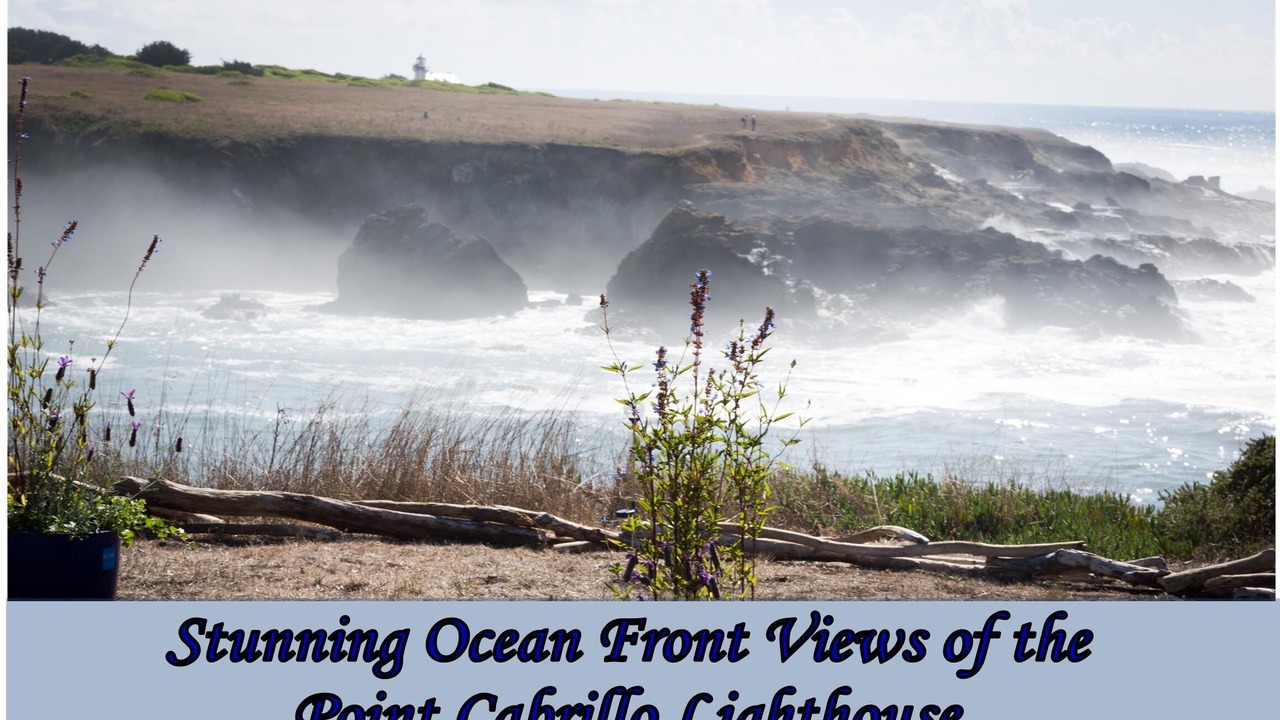 Photo of Others in Mendocino