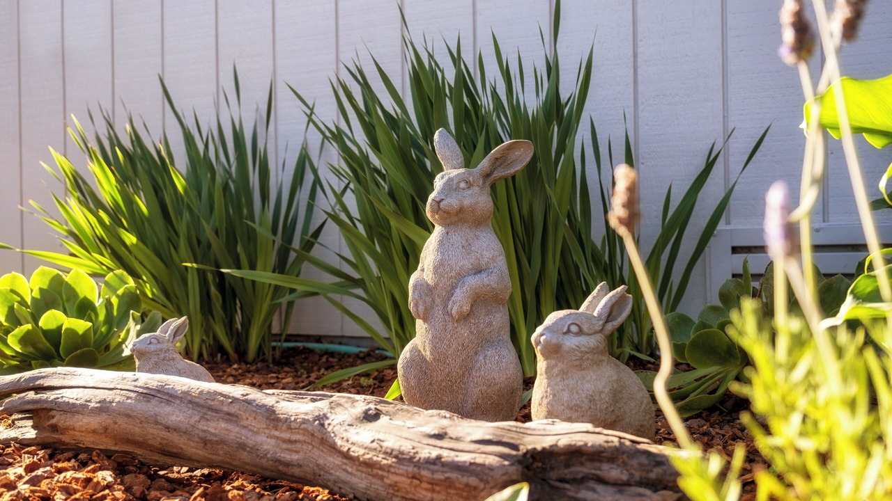 Photo of Outdoor in Mendocino
