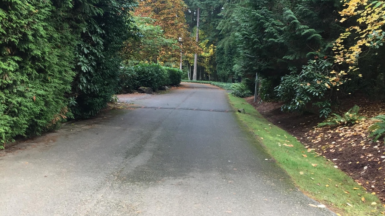 Photo of Others in Woodinville
