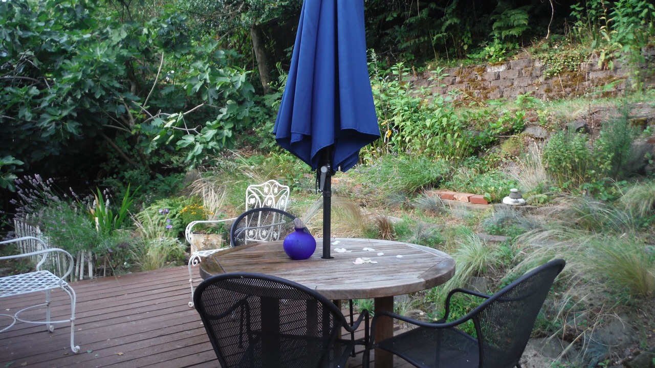 Photo of Outdoor in Briarcliff