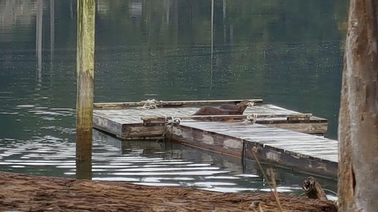 Photo of Others in Vaughn