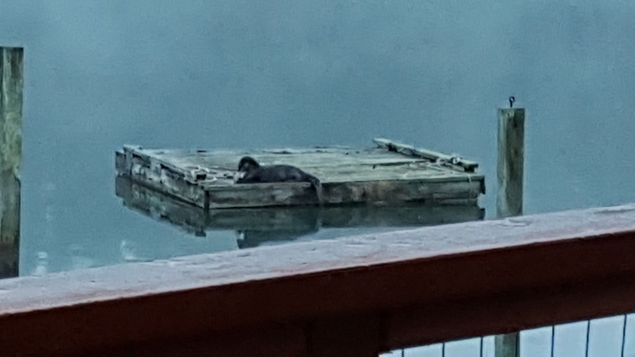Photo of Patio Balcony in Vaughn
