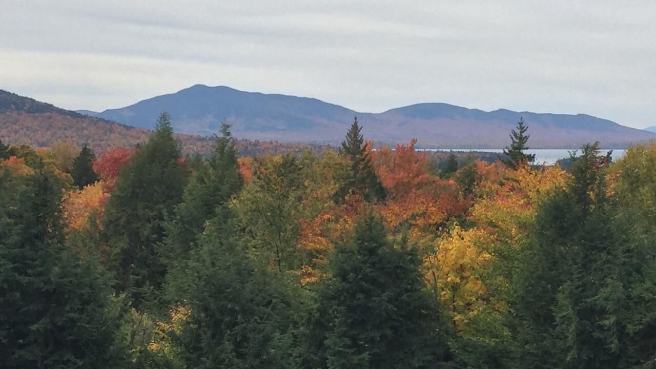 Photo of Outdoor in Beaver Cove