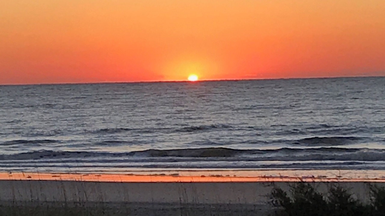 Photo of Others in Arcadian Shores
