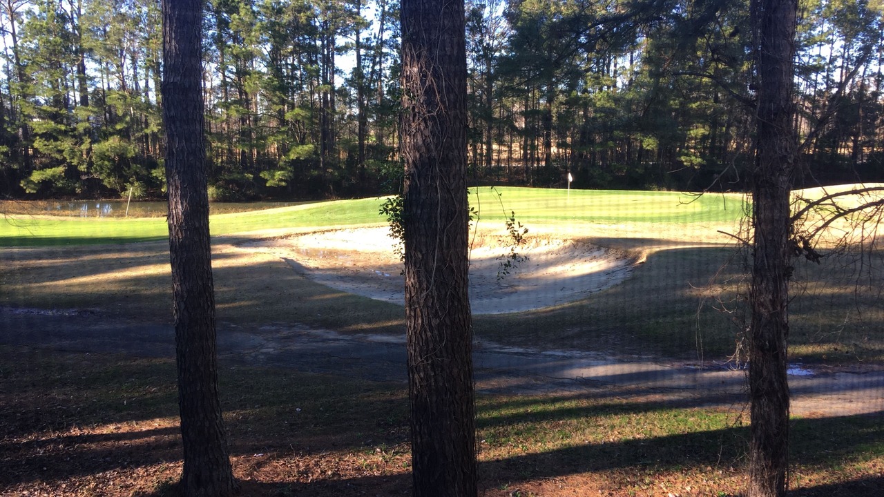 Photo of Others in Carolina Forest