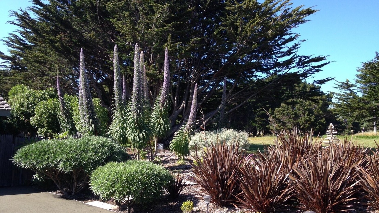 Photo of Outdoor in Mendocino