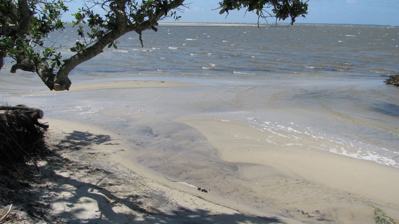 Photo of Others in Manteo