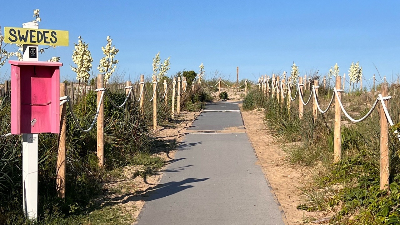 Photo of Outdoor in Dewey Beach