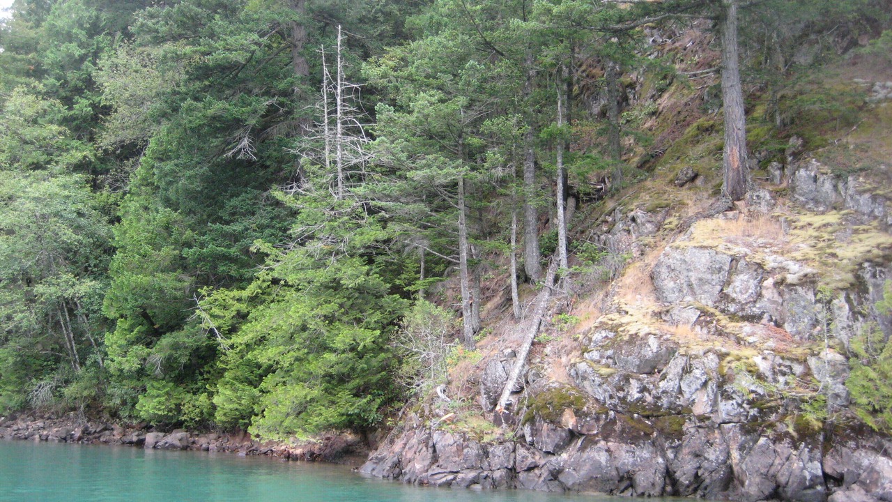 Photo of Others in Agassiz