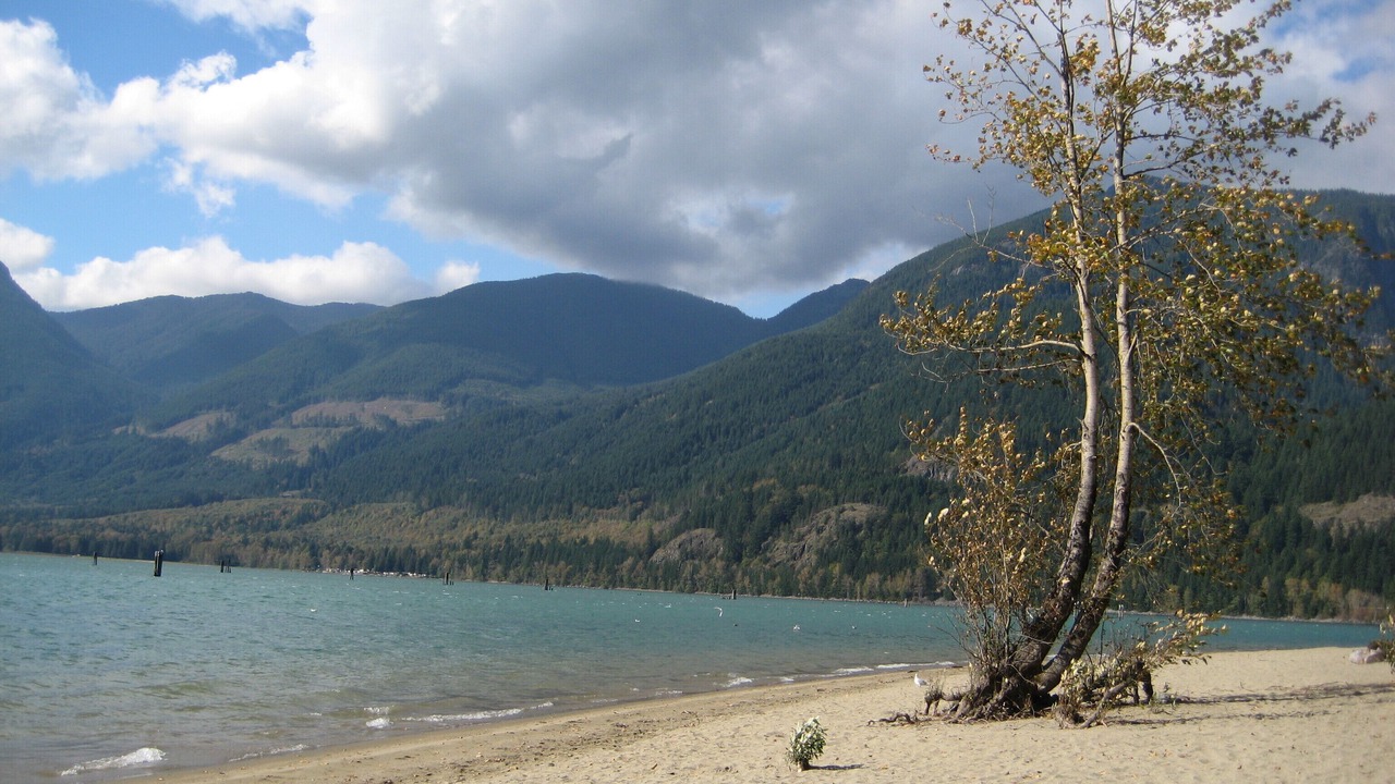 Photo of Others in Agassiz