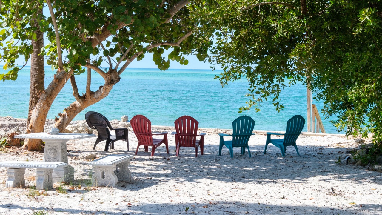 Photo of Others in Siesta Key