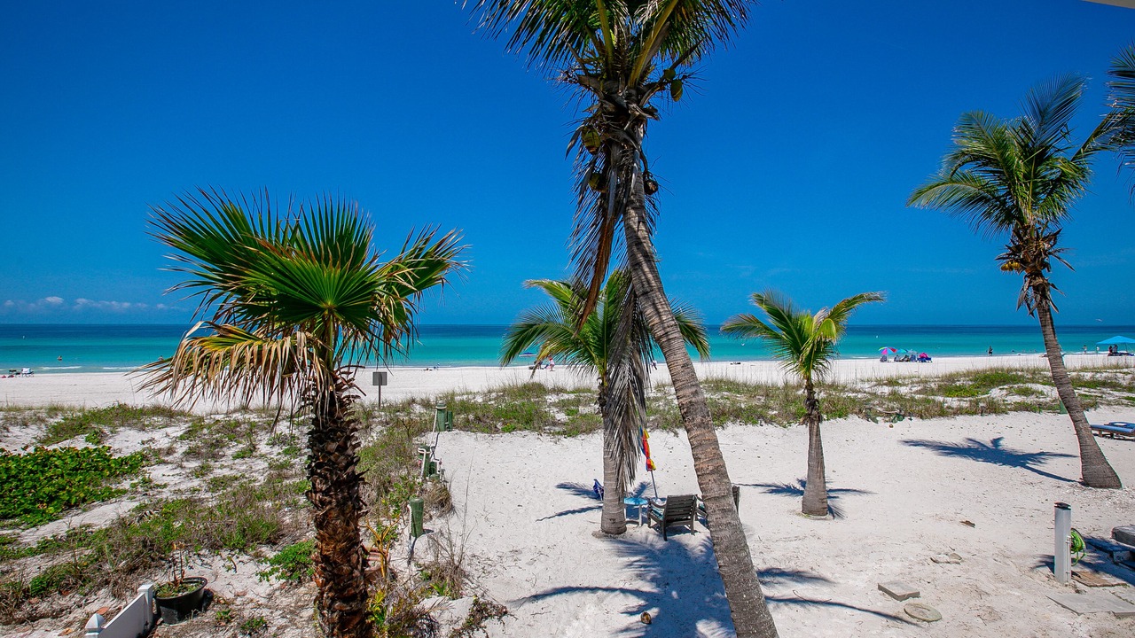 Photo of Others in Bradenton Beach