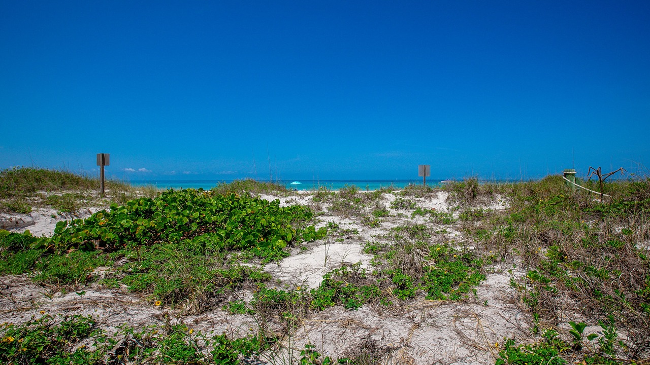 Photo of Others in Bradenton Beach