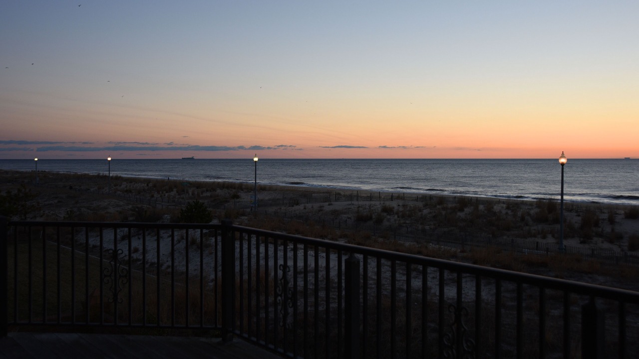 Photo of Others in South Rehoboth