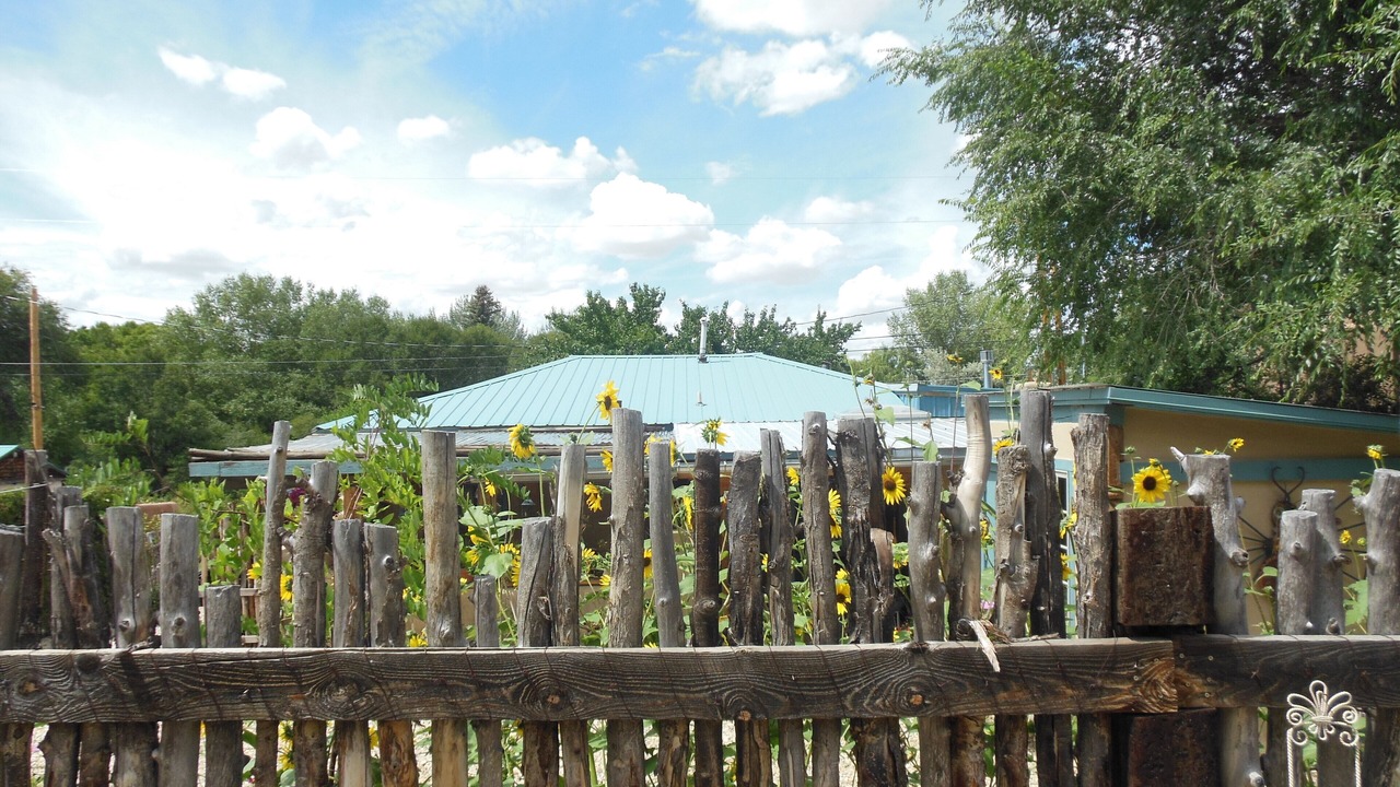 Photo of Others in Taos