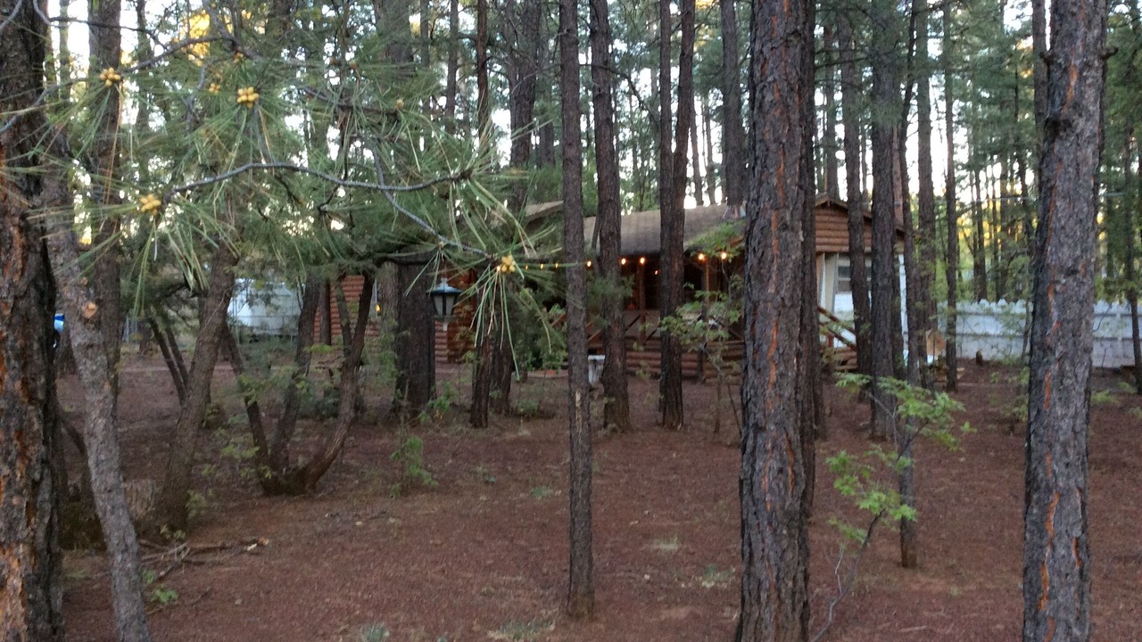 Photo of Others in Pinetop-Lakeside