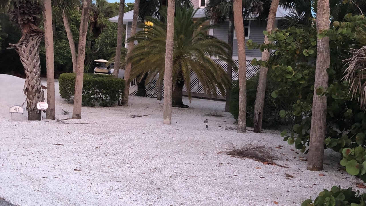 Photo of Others in Boca Grande